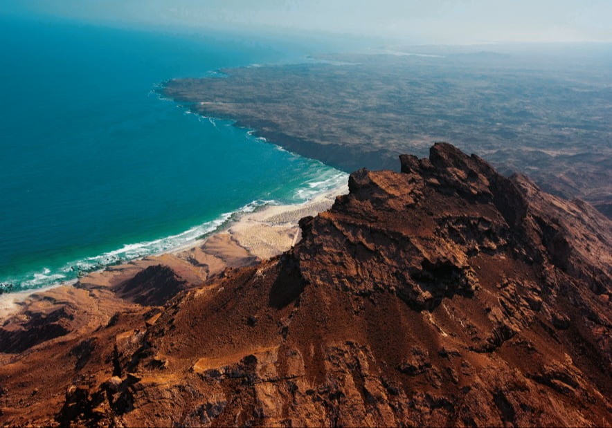 Coastline & Marine Life